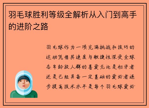 羽毛球胜利等级全解析从入门到高手的进阶之路