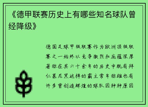 《德甲联赛历史上有哪些知名球队曾经降级》